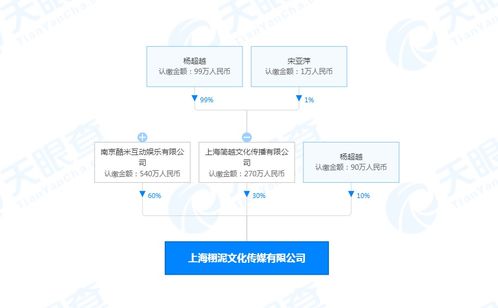 楊超越跨界投資AI領域，新公司布局傳媒與人工智能軟件開發